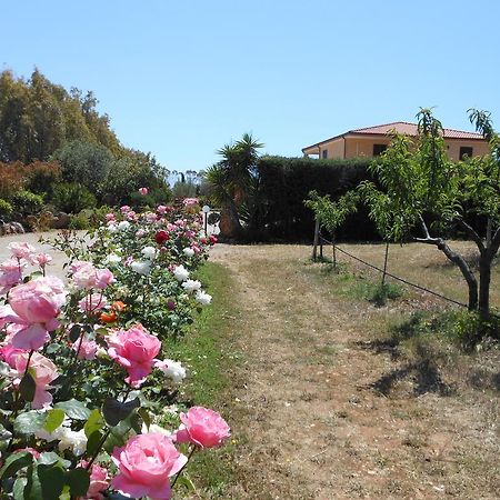 Bed And Breakfast Le Camelie Alghero Exterior photo