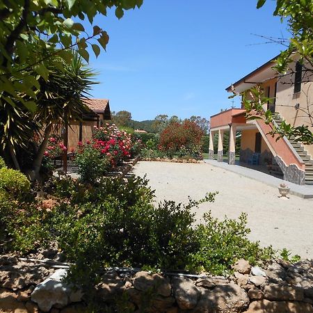 Bed And Breakfast Le Camelie Alghero Exterior photo