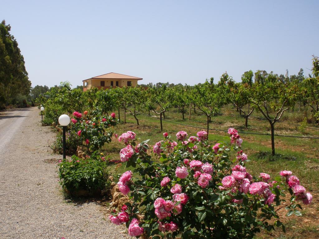 Bed And Breakfast Le Camelie Alghero Exterior photo
