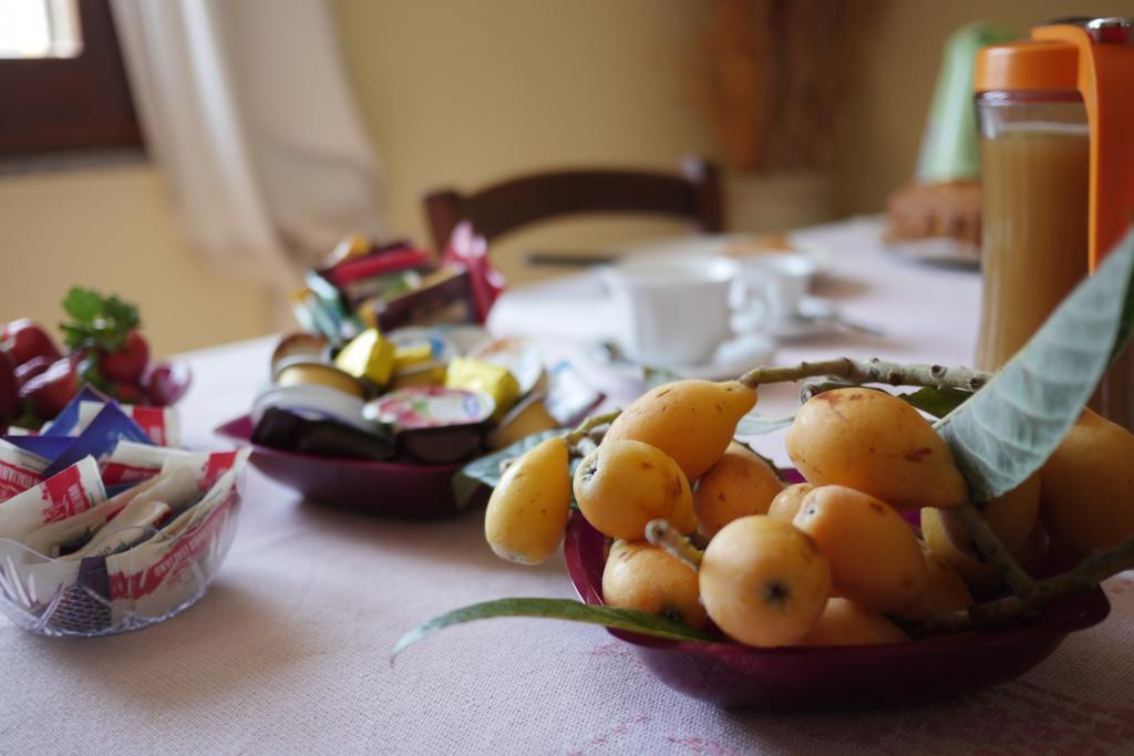 Bed And Breakfast Le Camelie Alghero Exterior photo