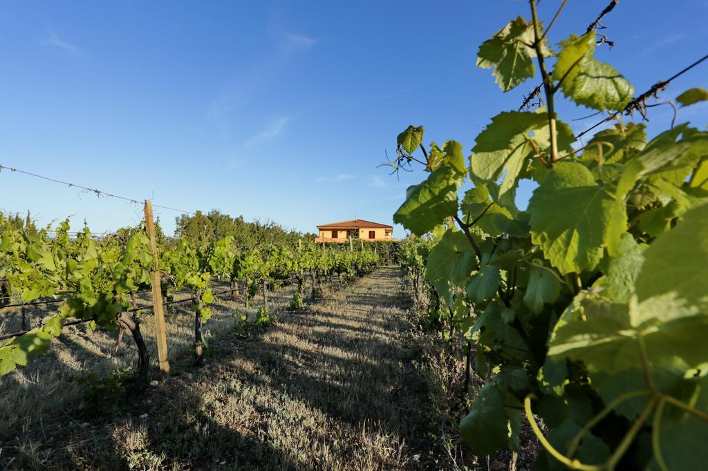 Bed And Breakfast Le Camelie Alghero Exterior photo