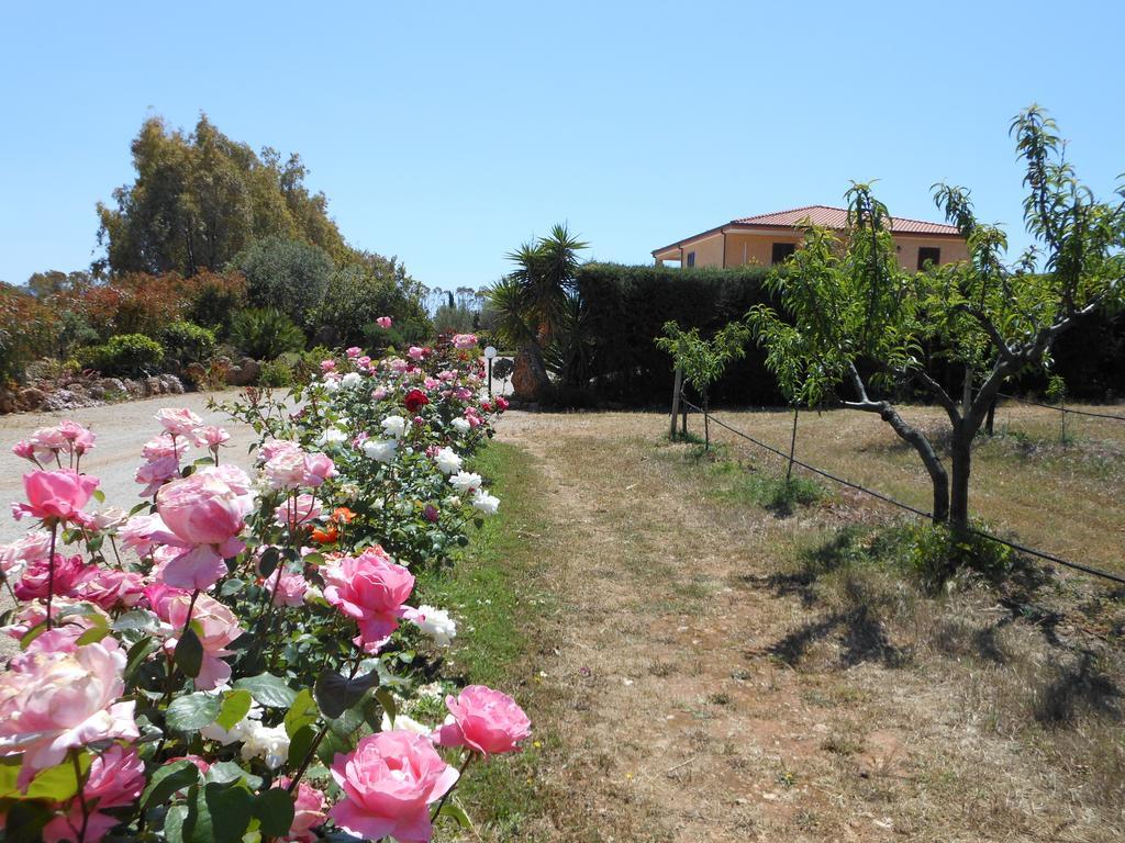 Bed And Breakfast Le Camelie Alghero Exterior photo